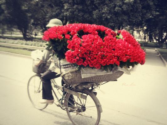 Доставка цветов в Омске круглосуточно