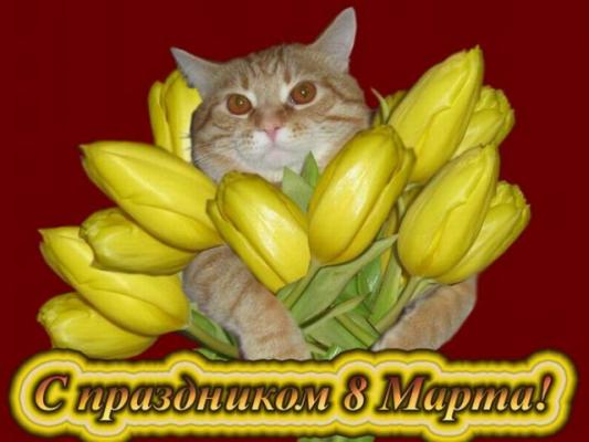 Кликните, чтобы открыть прикрепленное изображение