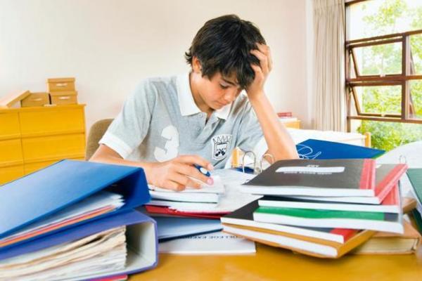 Преимущества и недостатки проверки домашнего задания из ГДЗ