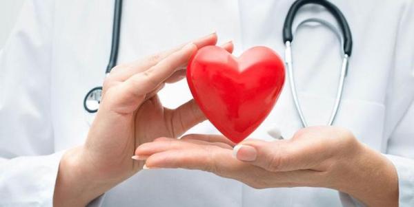 Сердечно-сосудистые заболевания и их лечение